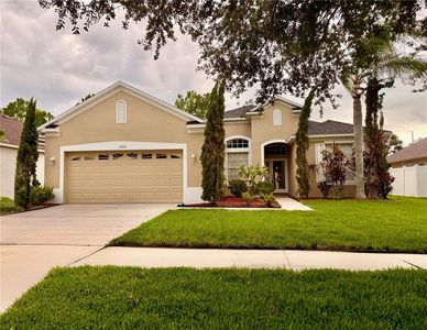 11450 Callaway Pond Dr, Riverview, FL, 33579