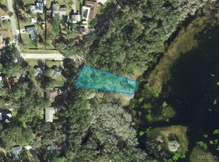 3352 E Lake Nina Dr, Inverness, FL 34453