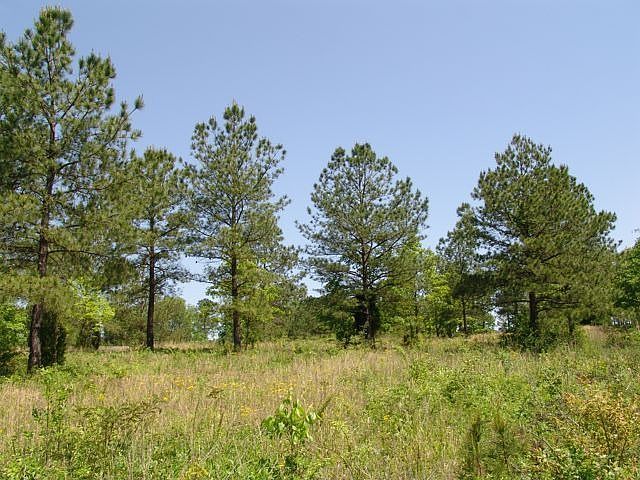 2nd image of 233 Bailey Rd