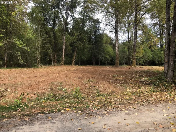 0 NE 183rd St, Brush Prairie, WA 98606