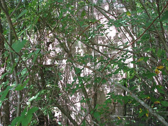 2nd image of 0 Old Tribble Ln Lot 88.00