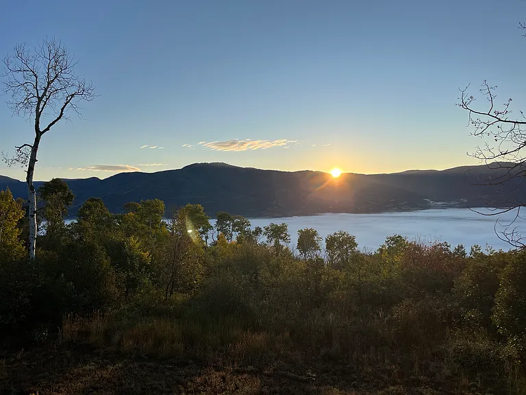 Blue Grouse Ln — Photo 18