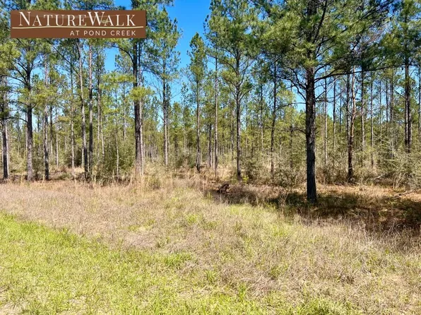 LOT 20 Pine Preserve Ln, Milton, FL 32571