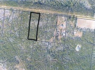 1965 Shawnee Egypt Rd, Springfield, GA 31329