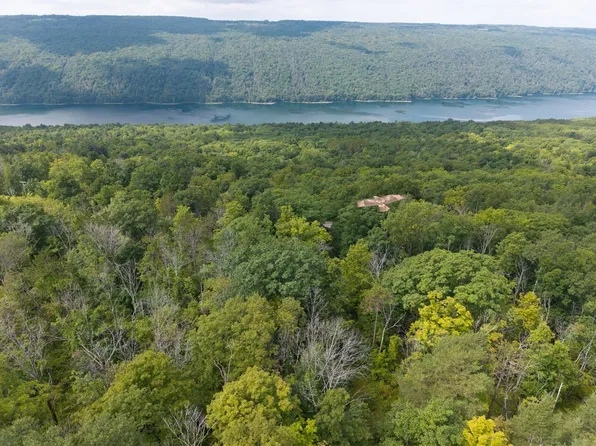 S Old Bald Hill Rd Lot 39, Springwater, NY 14560
