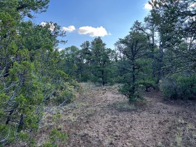 LOT McComb Rd #T, Edgewood, NM, 87015