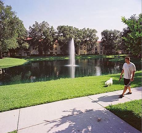 2nd image of 5616 Pinnacle Heights Cir APT 201