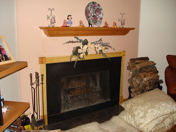 Wood burning fireplace