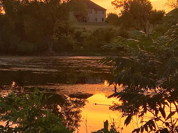 View from backside of pond