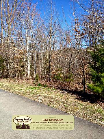 1st image of Pine Loop Dr