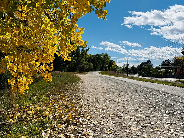 Trail directly behind townhome