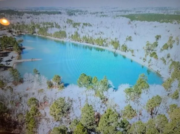 0 High Way #23, Twin City, GA 30471
