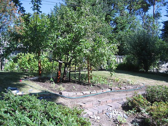 Backyard Garden