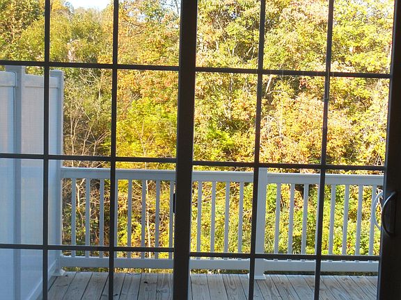 Back Patio