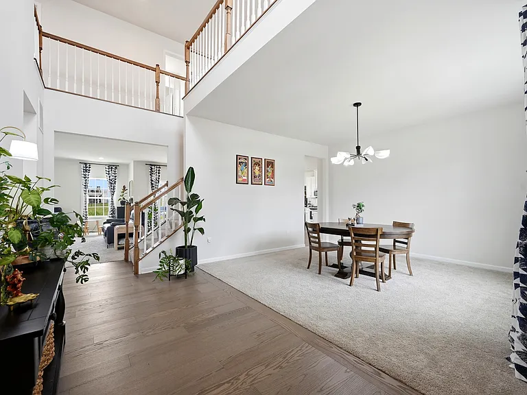 Main Entrance + Foyer