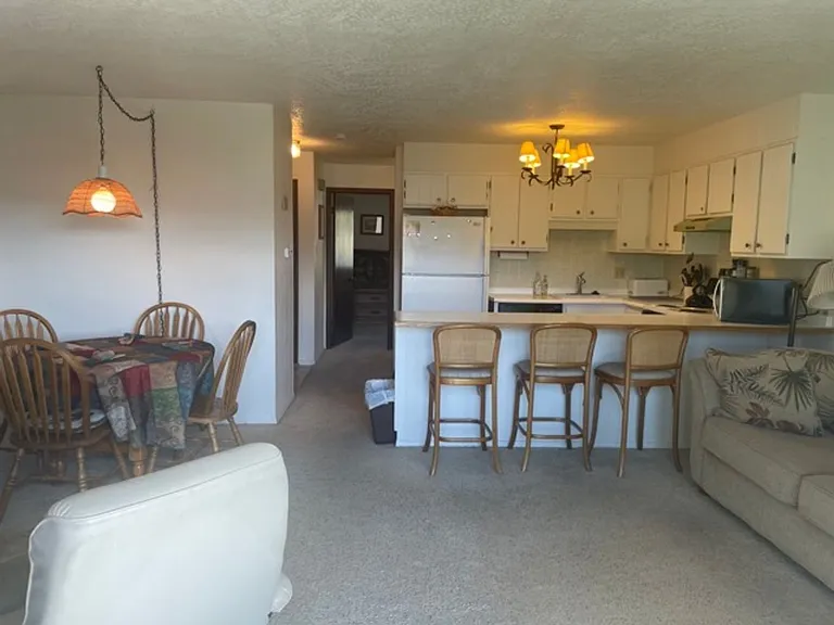 203C Dillon Valley #1253 — Photo 4
