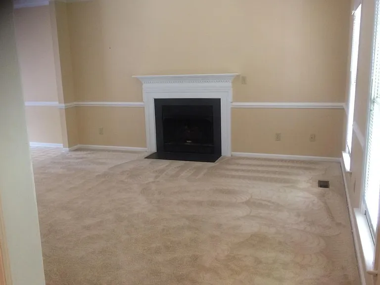 Living room and gas fire place
