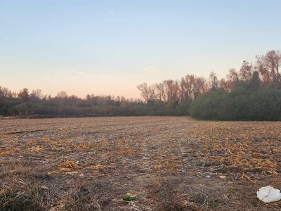 N Lake Rd, Engelhard, NC, 27824