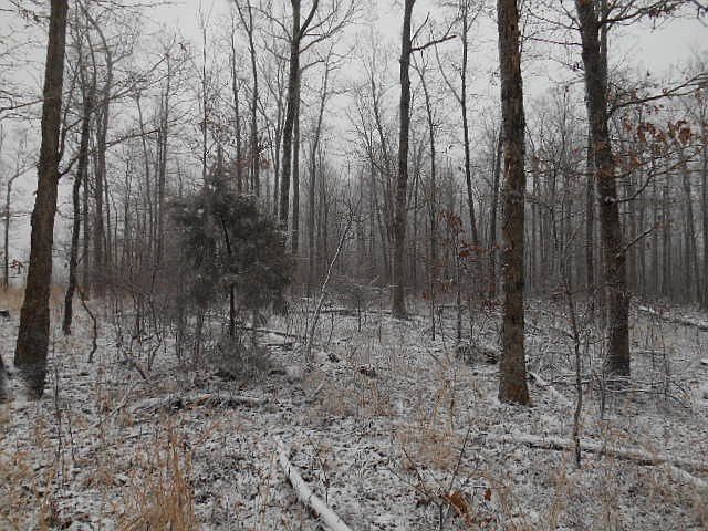1st image of 9 County Rd