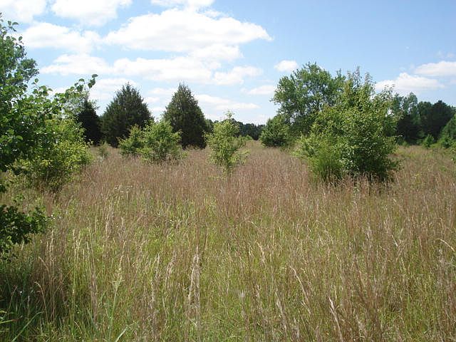 2nd image of Hwy 348