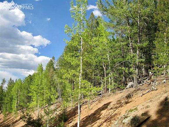 3rd image of 2213 Pikes Peak Dr