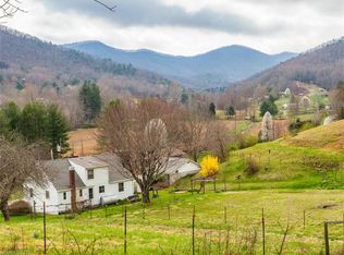 90 Beaverdam Loop Rd, Candler, NC 28715