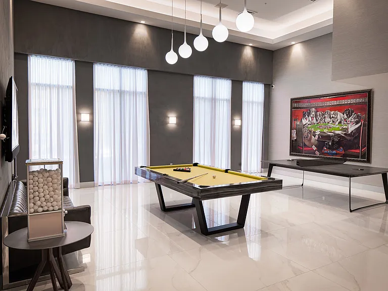 Billiards Room & Ping Pong Table