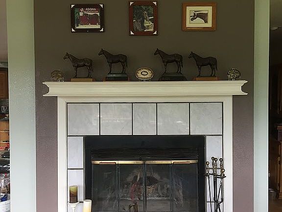 Wood burning fireplace.