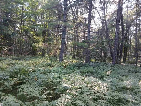 N Lorenz Rd, Tawas City, MI 48763