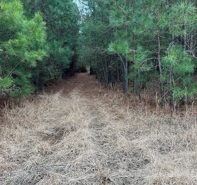 0 Saxis Rd Temperanceville, VA, 23442 Apartments for Rent Zillow