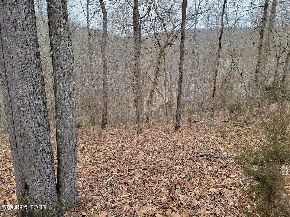 1st image of Big Creek Ln