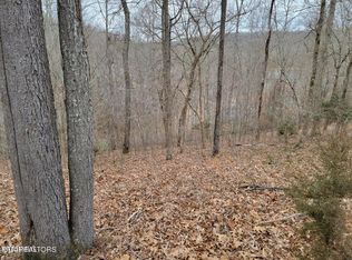 Big Creek Ln, La follette, TN 37766