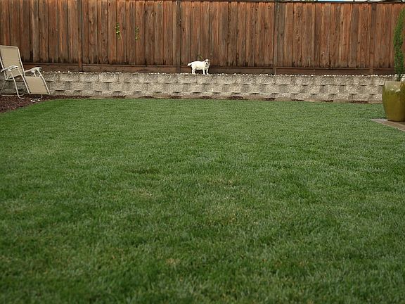 2nd image of 838 Spotted Pony Ln