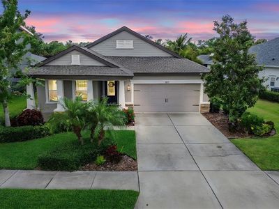 6642 Current Dr, Apollo Beach, FL, 33572
