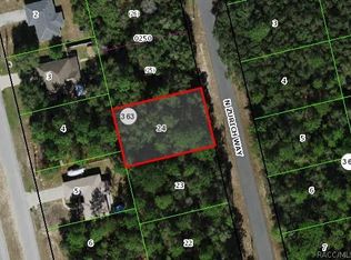 8702 N Zurich Way, Citrus Springs, FL 34434