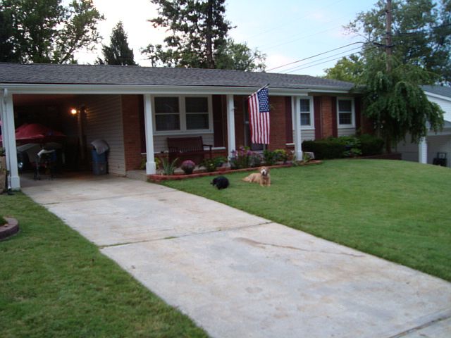 New siding and roof 
