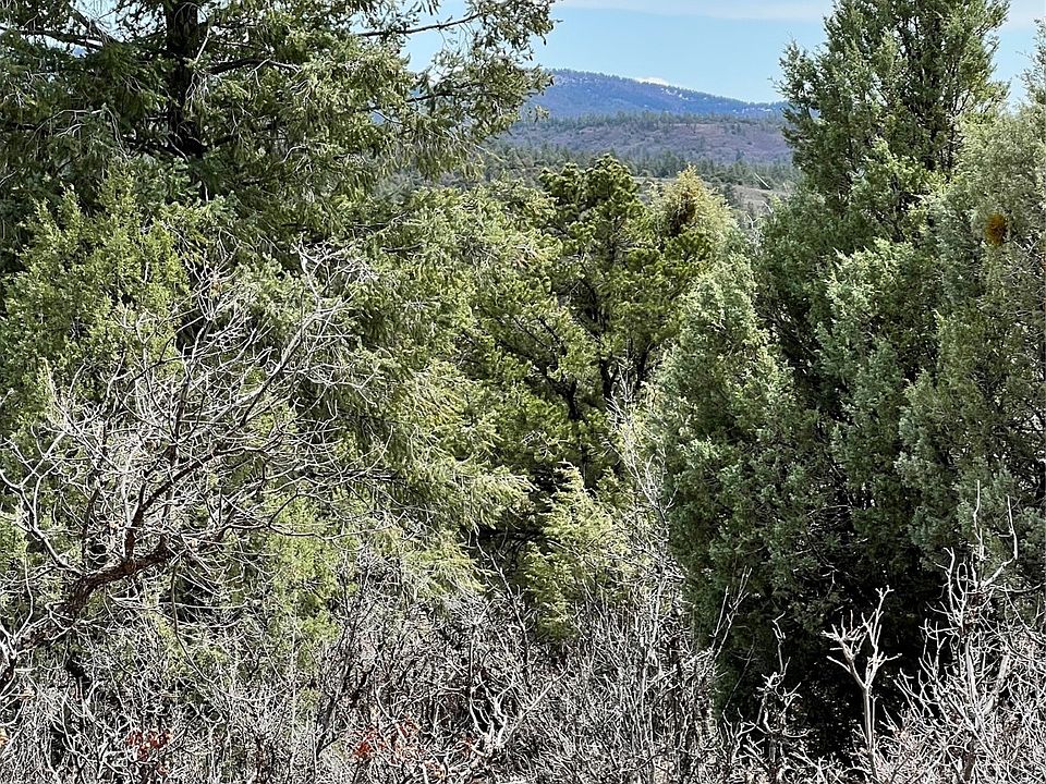 2nd image of 0 Road 1781