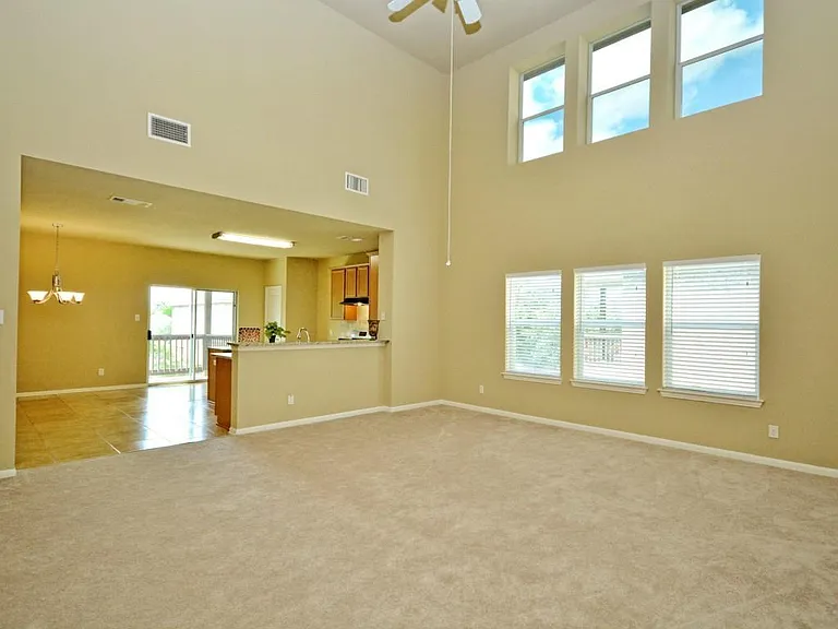 1413 Short Horn Cv — Photo 10
