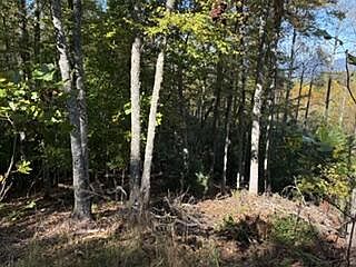 3rd image of LOT 49 Elkhorn Ridge Dr