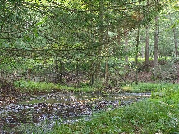 2nd image of 590 Cranberry Creek Rd