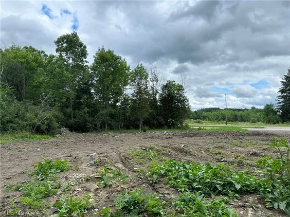 12763 Main Market Rd, Garrettsville, OH 44231