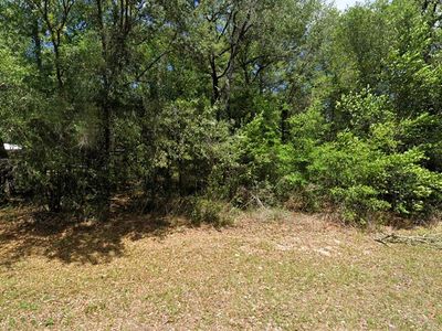 2781 W Mystery Ln #100, Dunnellon, FL, 34434