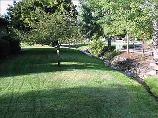 3rd image of 2609 Diamond Meadow Ct