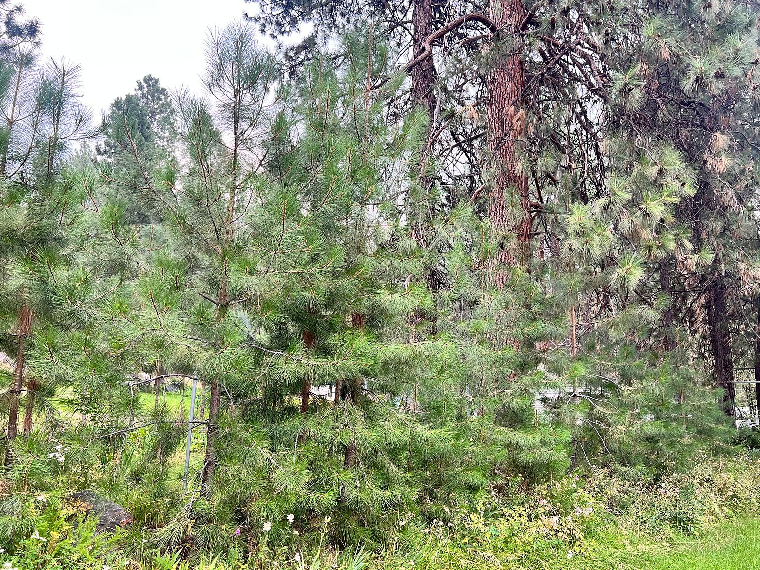 0 Chiloquin Dr, Chiloquin, OR 97624 Zillow