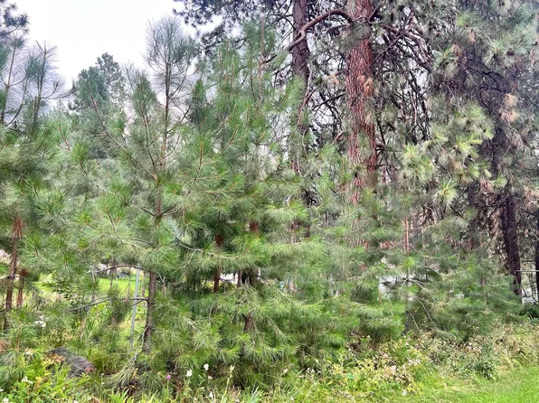 0 Chiloquin Dr, Chiloquin, OR 97624