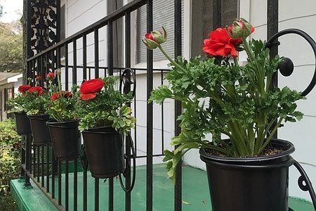 Planters on front porch rail
