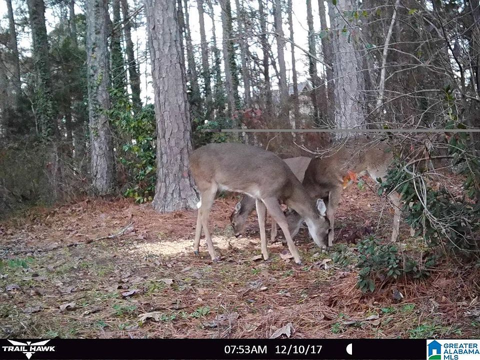 1st image of 4904 Heatherwood Dr