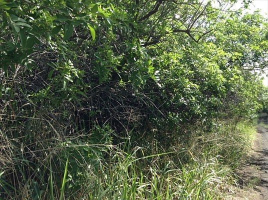 2nd image of Palaoa Rd Lot 20