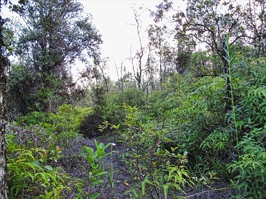 1st image of 12th Ave Lot 1330