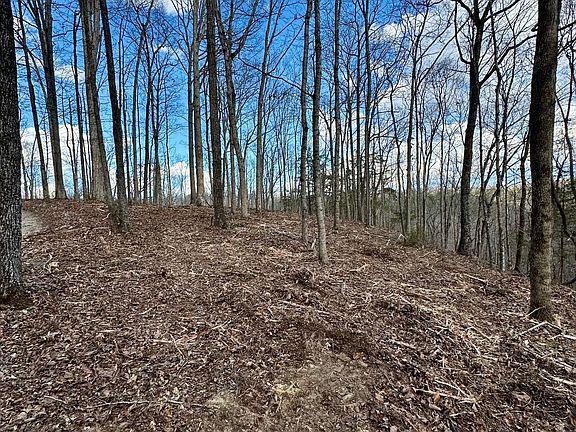 5th image of 7 Malone Ridge Rd #7